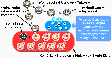 Avatari Aqua Atakujące wolne rodniki i Ochronny aktywny wodór - Woda Życia - www.WodaZycia.info